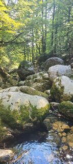 Korita Mostnice bis zum Wasserfall, Slowenien
