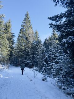 Photo de Linda Bauer le long du parcours