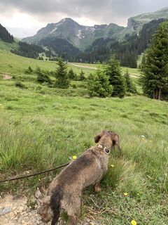 Fotografia z Koen De Wit na trase