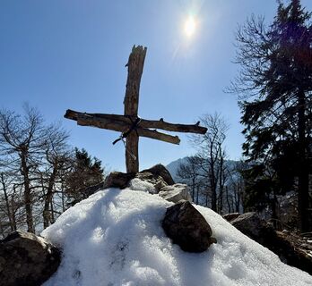 Foto von Natur_erleben_dg entlang der Tour