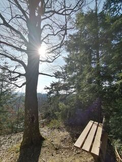 Foto von Wanderfux entlang der Tour