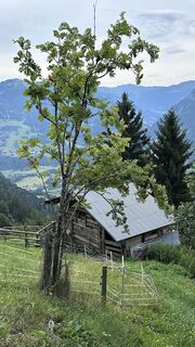 Foto von Mountain Cat ? ⛰️ entlang der Tour