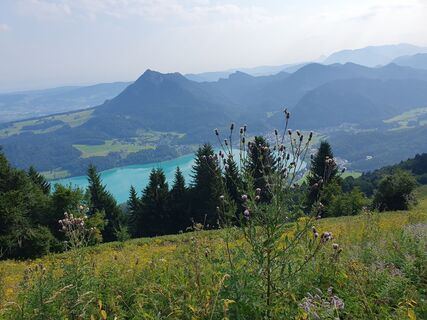 Foto fra Andrea Hintringer underveis på turen