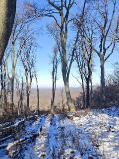 Fotografia z Katona Ferk Mariann na trase