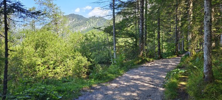 Foto von Sonja Enzenhofer entlang der Tour