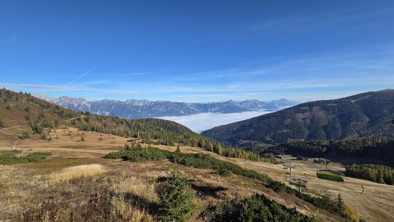 Foto von Adelheid Lautner entlang der Tour