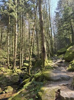 Photo de Michel Kennel le long du parcours