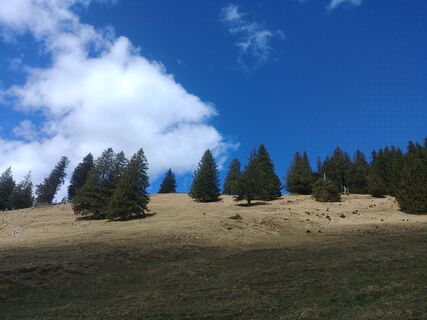 Fotografia z Iris Perkmann na trase