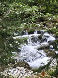 Foto von Thomi W entlang der Tour