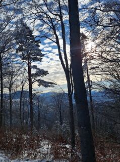 Foto von Mimi entlang der Tour