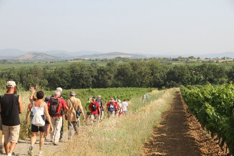Randonneurs Abeilhan_CDRP34