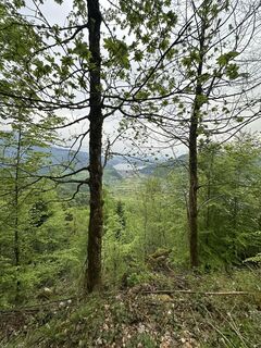 Fotografija s spletne strani Anna :) na poti