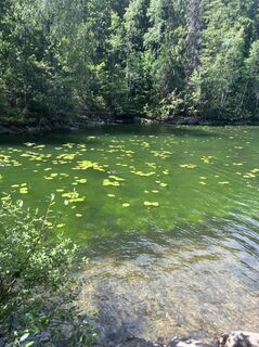Foto von FriluftslivGoat entlang der Tour