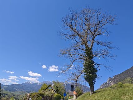 Fotografija s spletne strani Bergpirat na poti