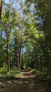 Foto von cJillian entlang der Tour
