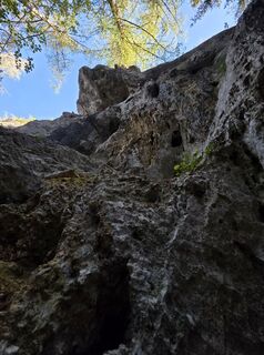 Photo de Michael Kammerer 2 le long du parcours
