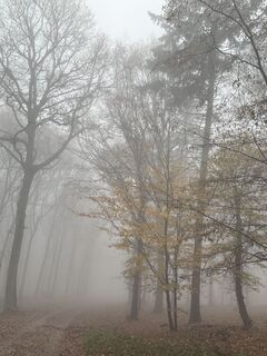 Fotografija s spletne strani Alt Judit na poti