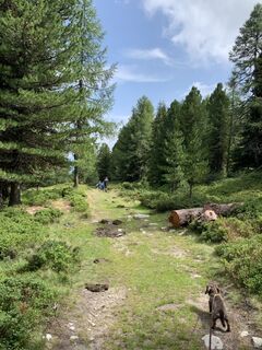 Foto van Koen De Wit langs de tour
