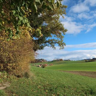 Wart 1 - Familien- und Naturerlebnispfad Grasburg