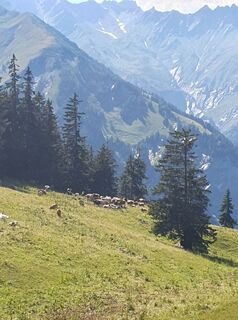 Photo de Christian Stieber le long du parcours