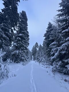 Foto von Toni entlang der Tour