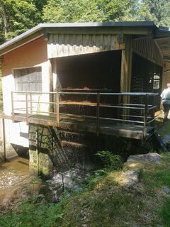 Foto de Waldläufer a lo largo del recorrido