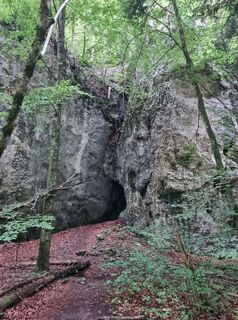 Foto de Tamara Schwarz 2 a lo largo del recorrido