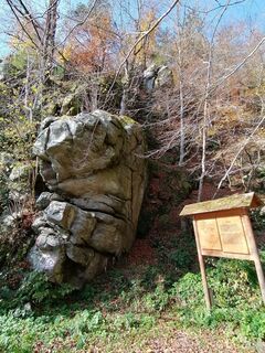 Foto von Wanderfux entlang der Tour
