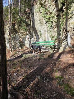 Photo de Bruno Bürgi le long du parcours