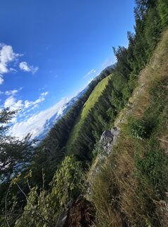 Photo de Domenic Beyrowski le long du parcours