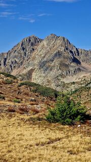 Foto de Fabrizi Mellano a lo largo del recorrido