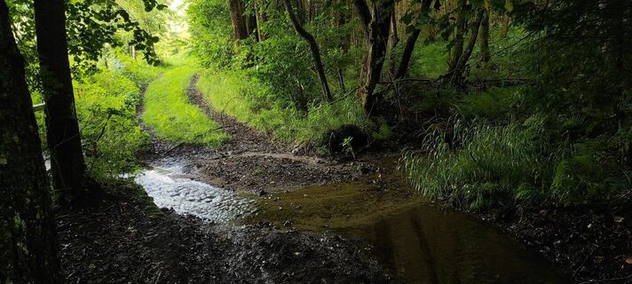 Photo de Andreas Herget le long du parcours