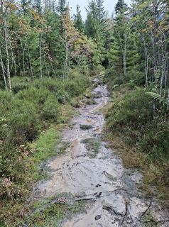 Foto von Maurer Silvia entlang der Tour