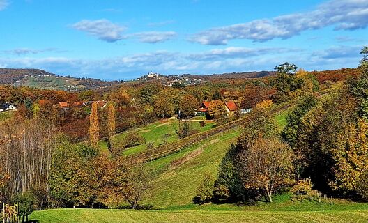 Foto von Susi Puhl entlang der Tour