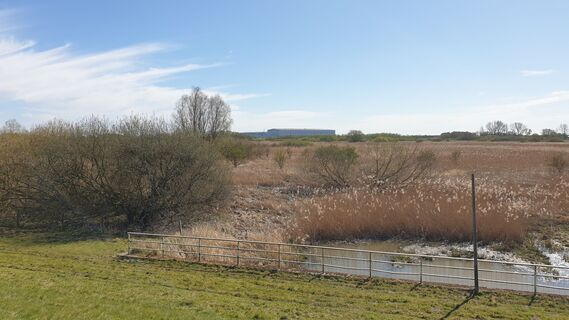 Foto von Tautropfen entlang der Tour