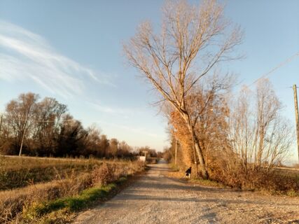 Fotografie z Vittorio Besazza na trase