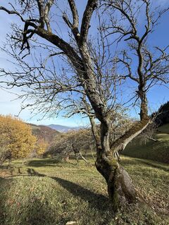 Foto von Anne Müller entlang der Tour