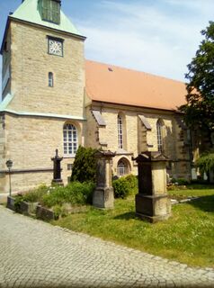 Foto von Silberbird entlang der Tour