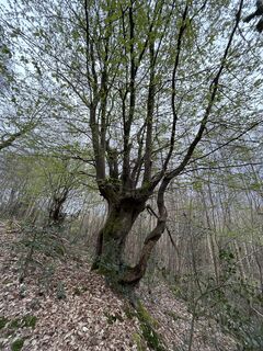 Foto von Robert Christiaans entlang der Tour