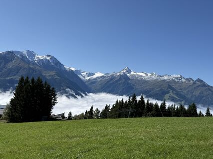 Fotografija s spletne strani Daniella De Wolde na poti