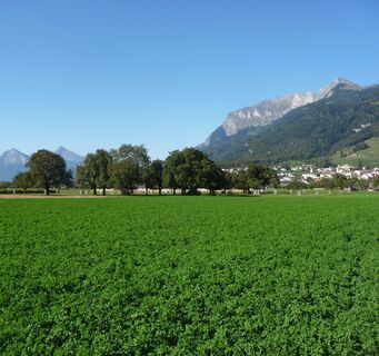 Willkommen im Winzerdörfchen Malans