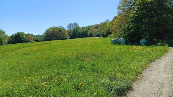 Foto von Manfred Peyer entlang der Tour