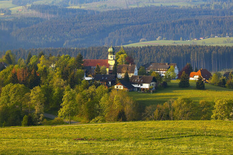 Blick auf Kappel