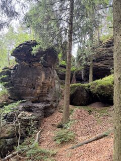 Foto von Paul entlang der Tour
