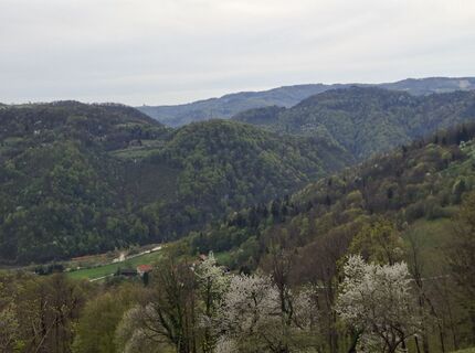 Fotografija s spletne strani jožica kaligaro 1 na poti