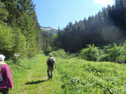 Aufstieg Falkenstein