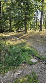 Foto de Panka Kovács a lo largo del recorrido