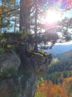 Foto von RobuC entlang der Tour