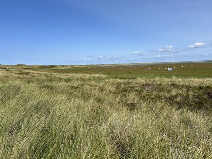 Fotografia z Bobrin na trase