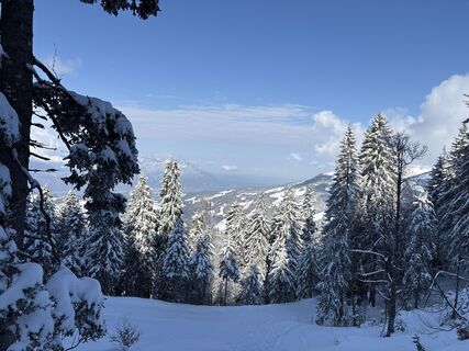 Foto von Heinz Sperl entlang der Tour